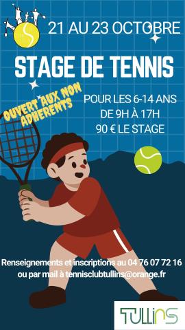Stage de Tennis
