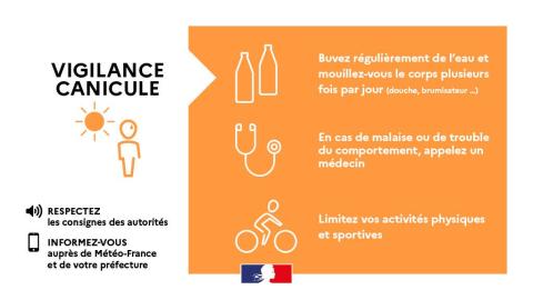 CANICULE
