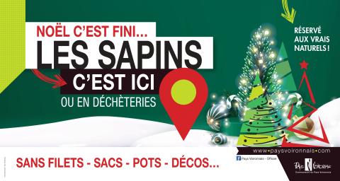 collecte sapins