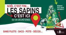 collecte sapins