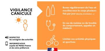 Canicule