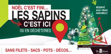 collecte sapins